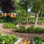 De aanleg van een ecologische schooltuin – Groene Hotspot