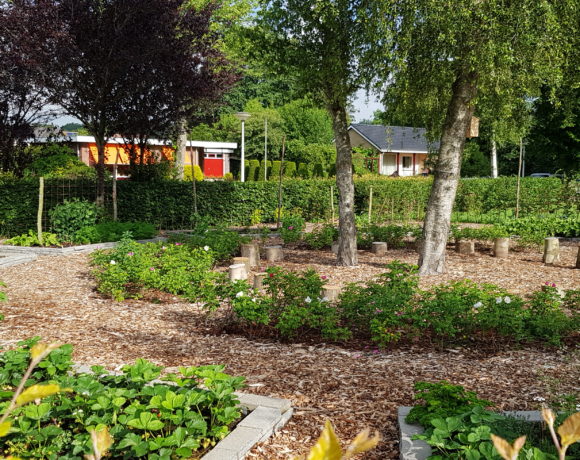 Aanleg duurzame moestuin school